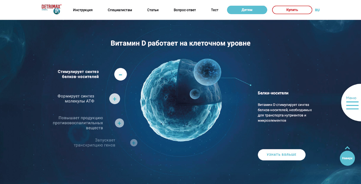 Разработка сайтов VAST VISION